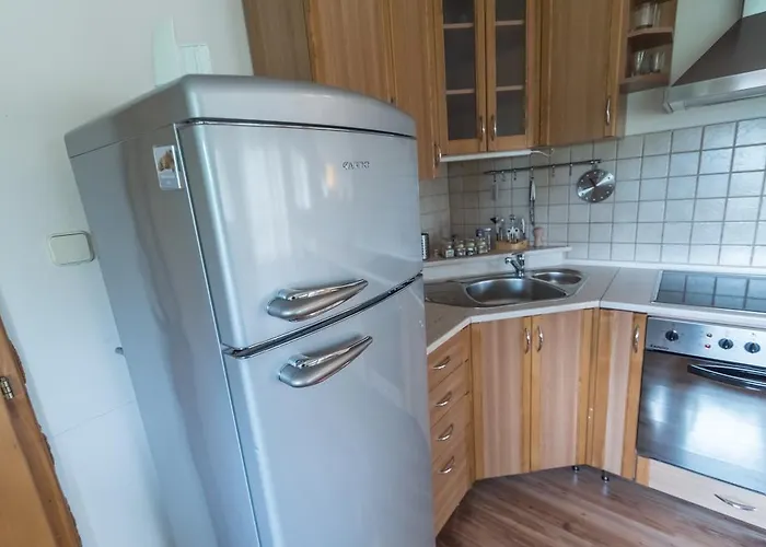 公寓 Relax 斯米扎尼